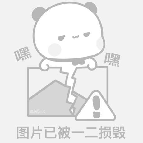 布偶