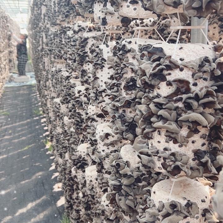 黑龙江特产经销处