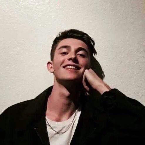 红驴驴与绿鱼驴铝驴