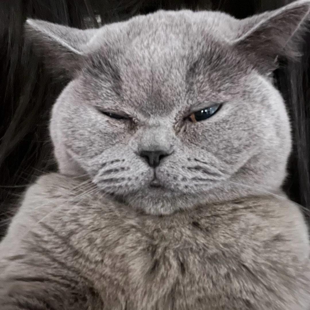 一米二统治世界