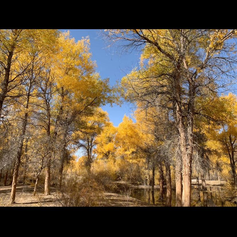 兰州西固重陵摩托车经销部