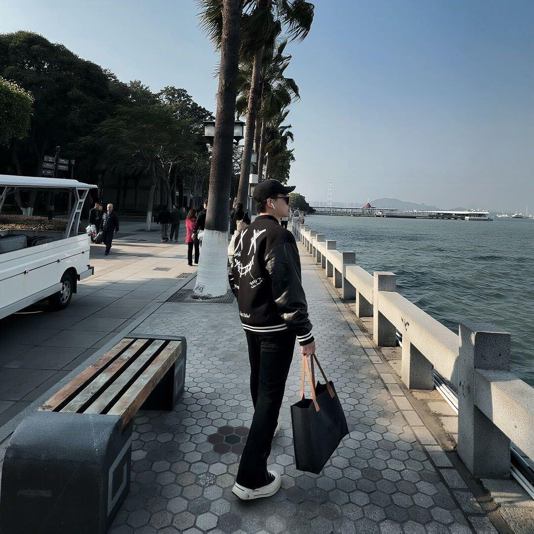 啊树不摆烂