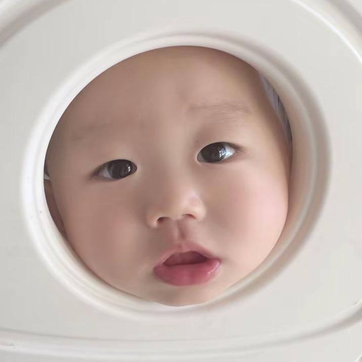 蛋蛋蛋