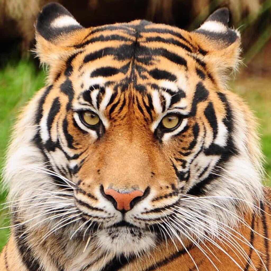 柳州羽锋羽毛球馆