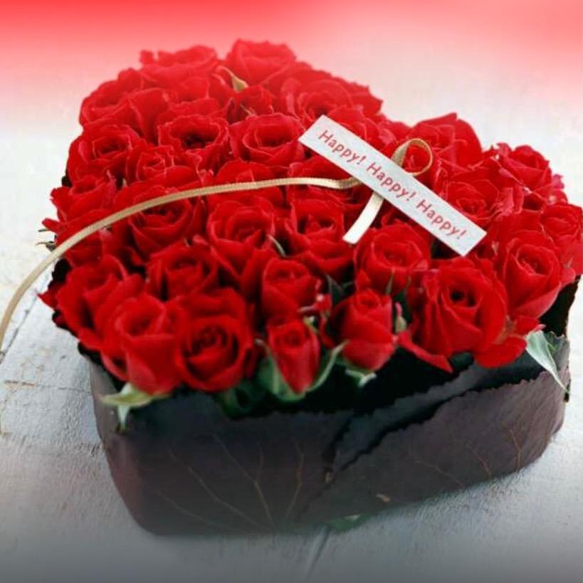 心语🌹花思忆