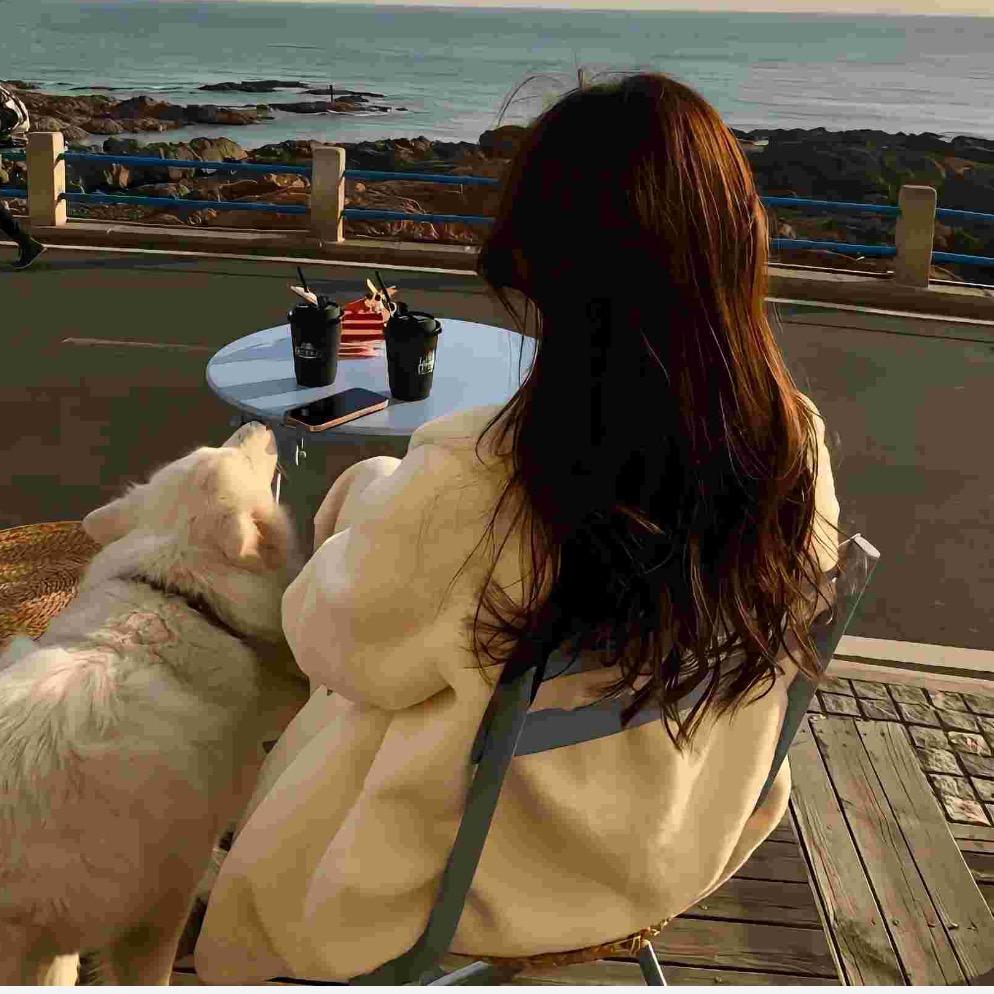 🌻太阳在小跑☆