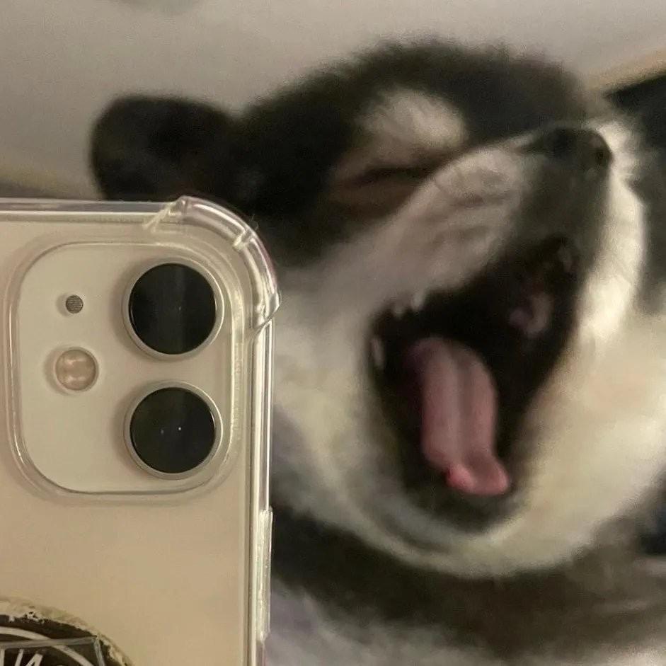 濤濤濤