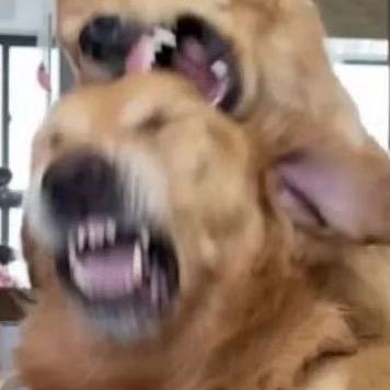 战术考🐨「使命召唤-战区」