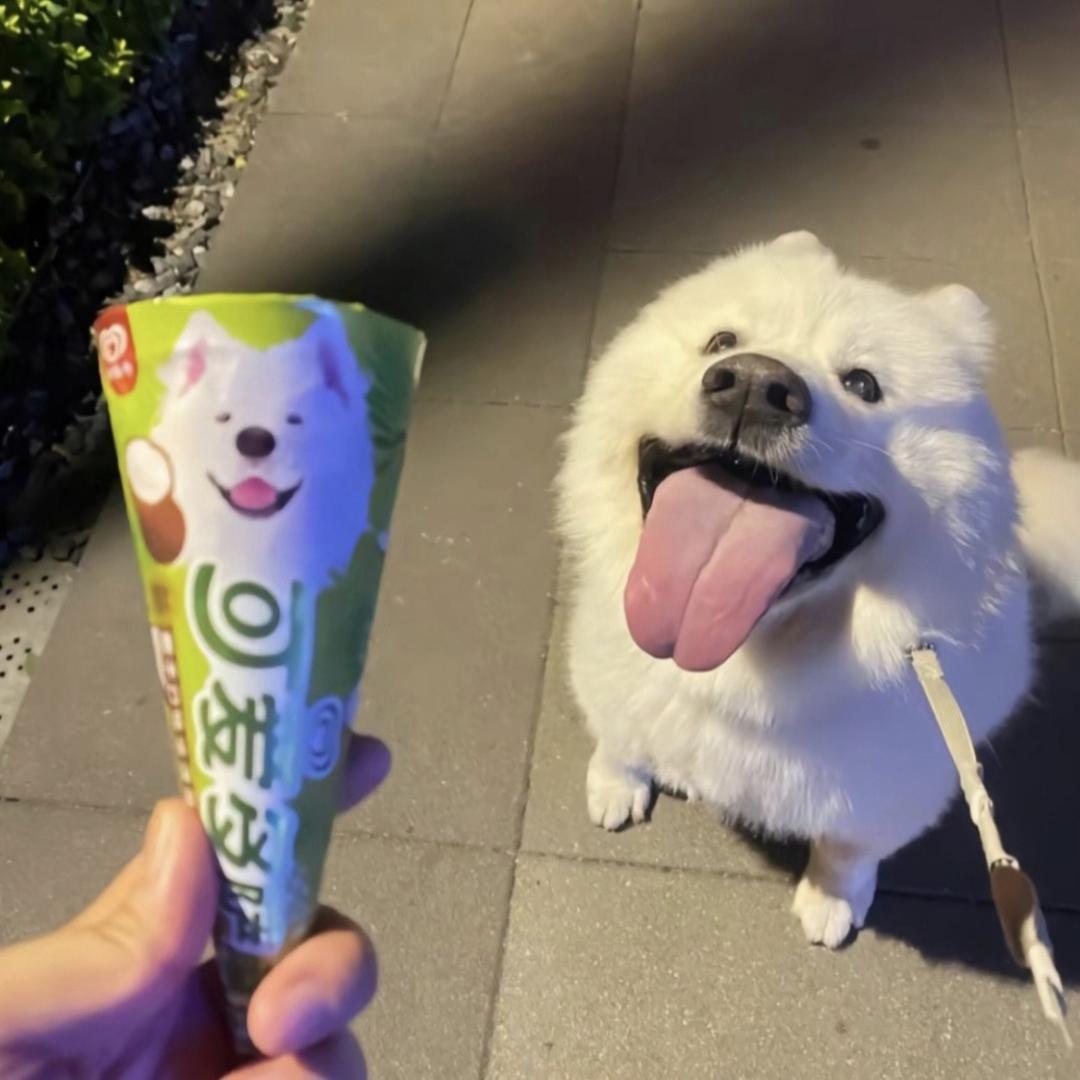 酸黄瓜条瑞克