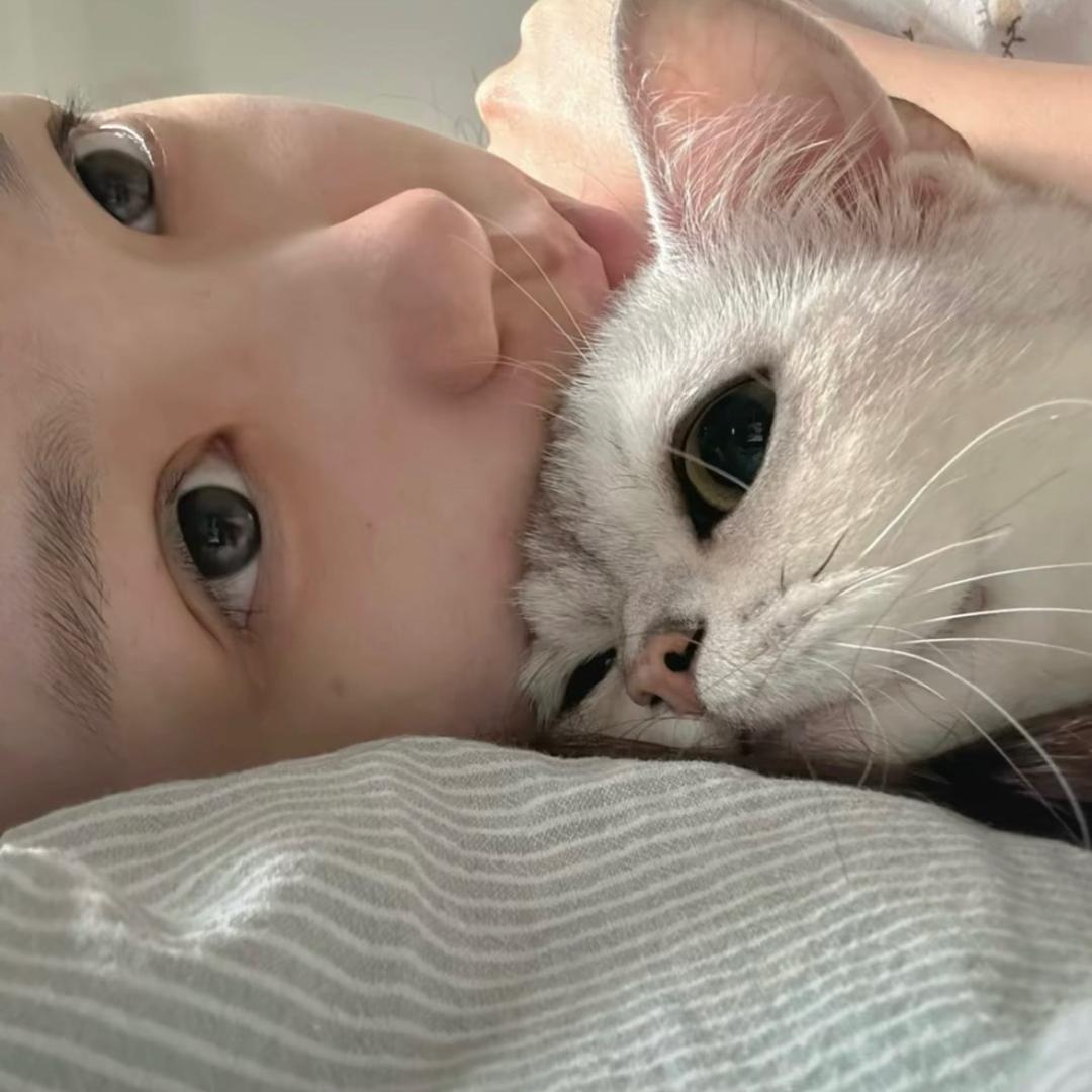 想睡觉的薯片