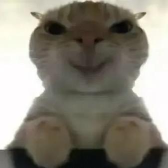 菜猫研究融合