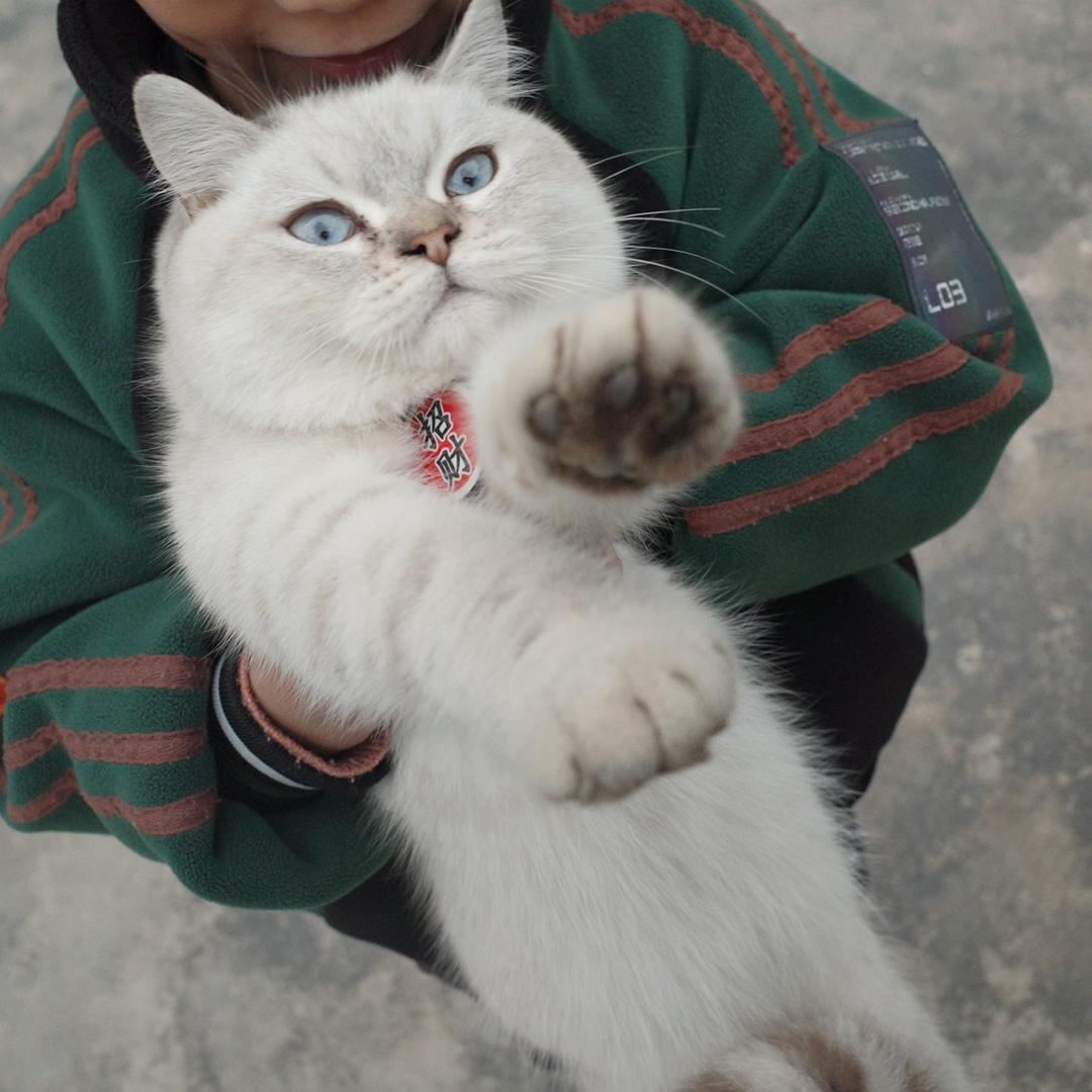 王鲜鲜