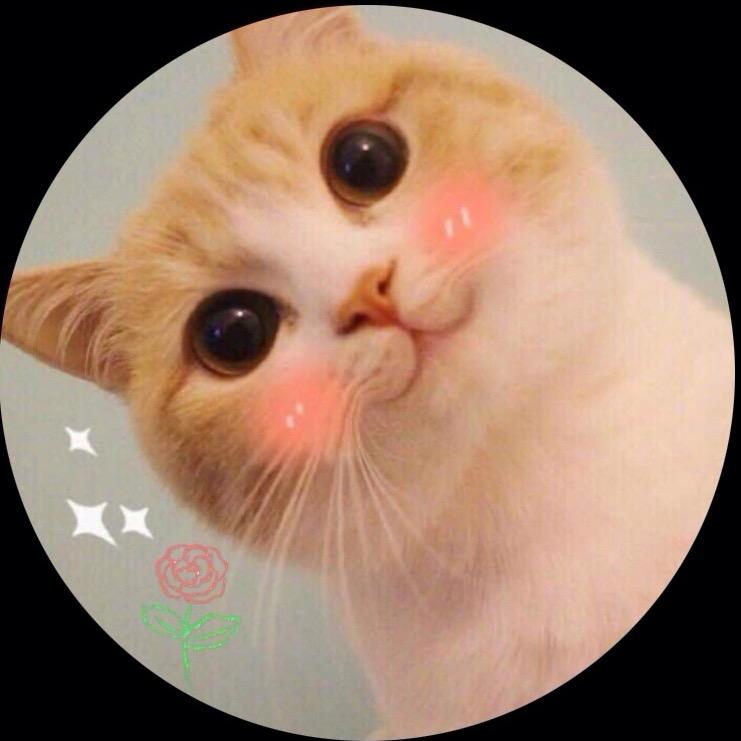 肉肉吃吃（2万粉冲冲冲）