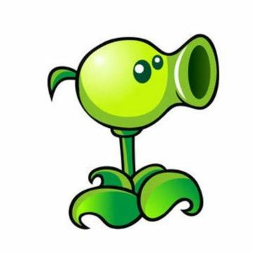 🎾🎾🎾
