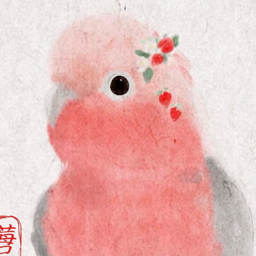 莓只几只🌸（不爱回✉️