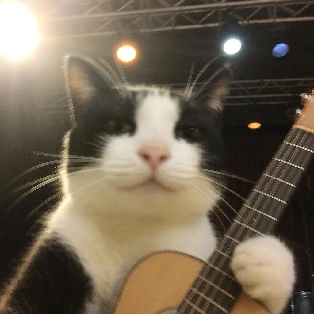 Hello｛元梦之星｝