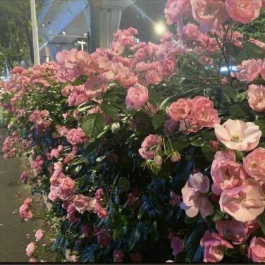 记得填写名字～小雅宝🍊