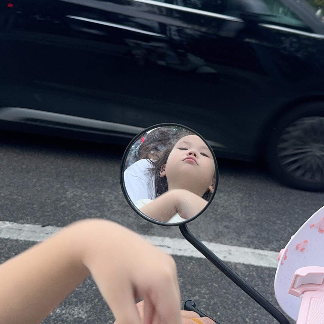 一只温柔猫.🐱