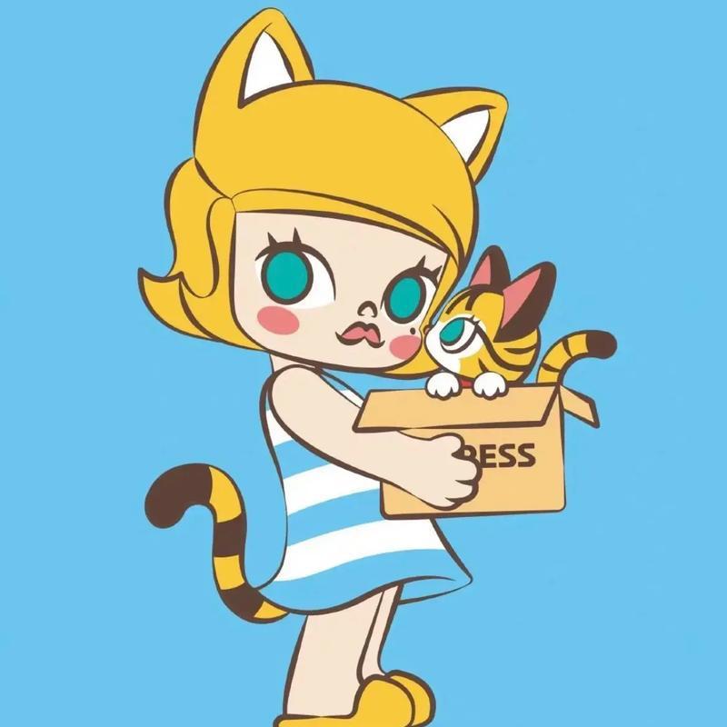 Molly的装修日记