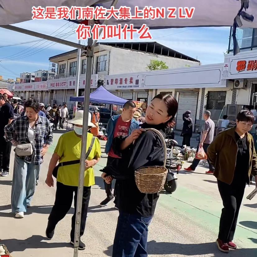 阿米（南佐大集）