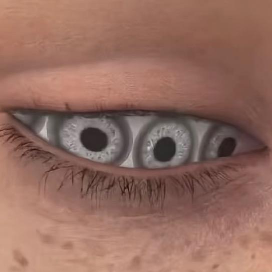 ·.·