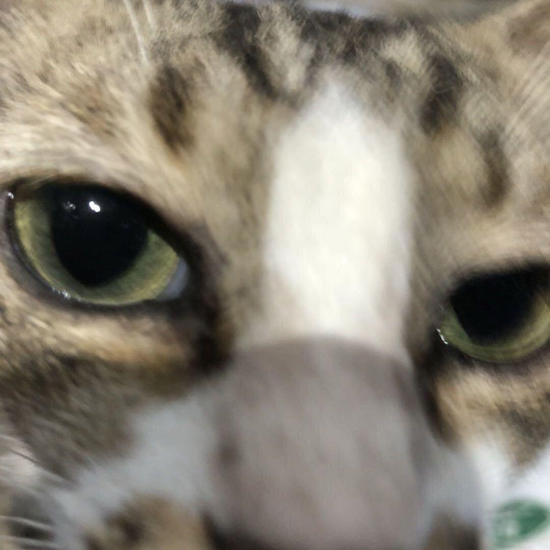 ㅤㅤㅤㅤㅤㅤㅤ 帅到被人砍