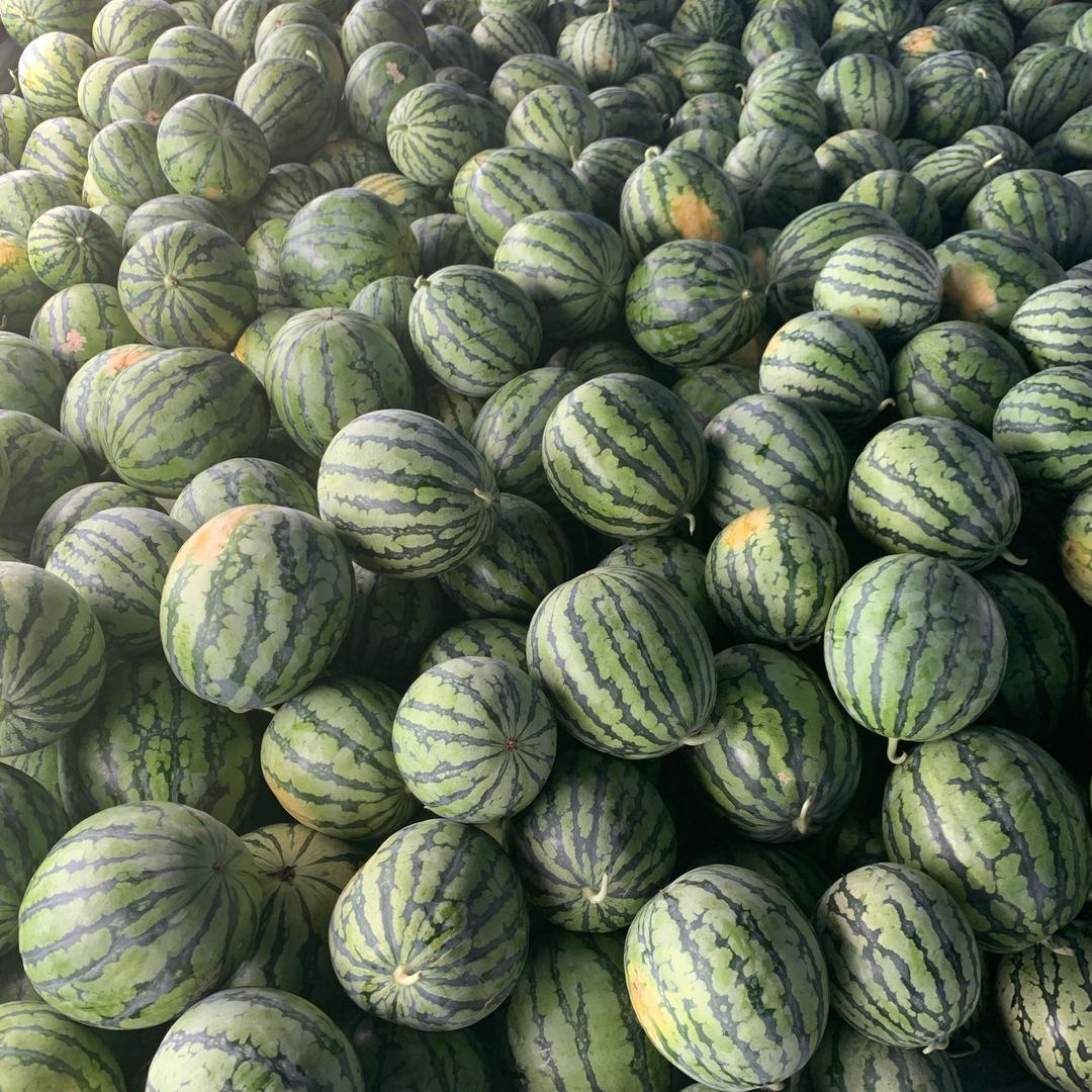 惠果果高端水果