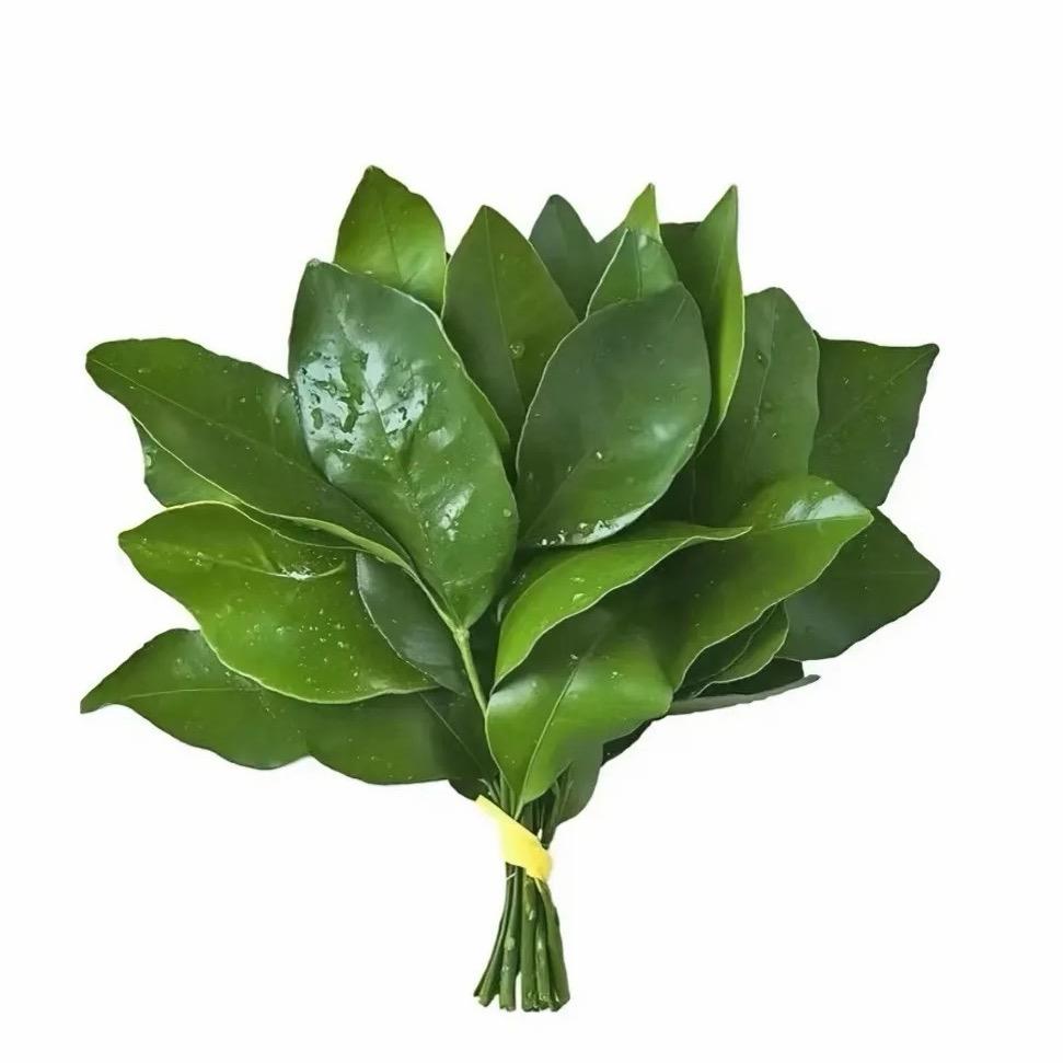 如果我想你三十遍