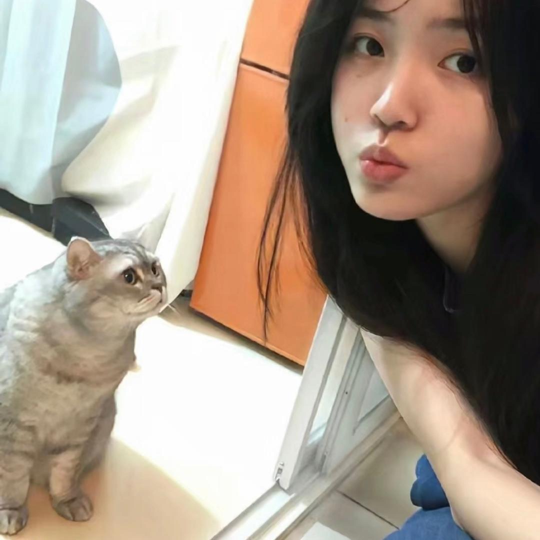 傥傥