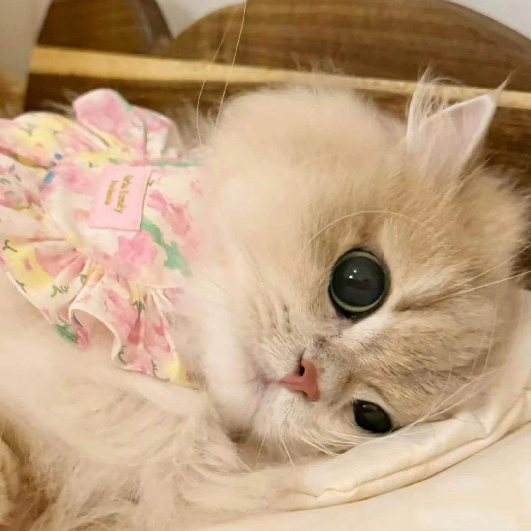 我超温柔