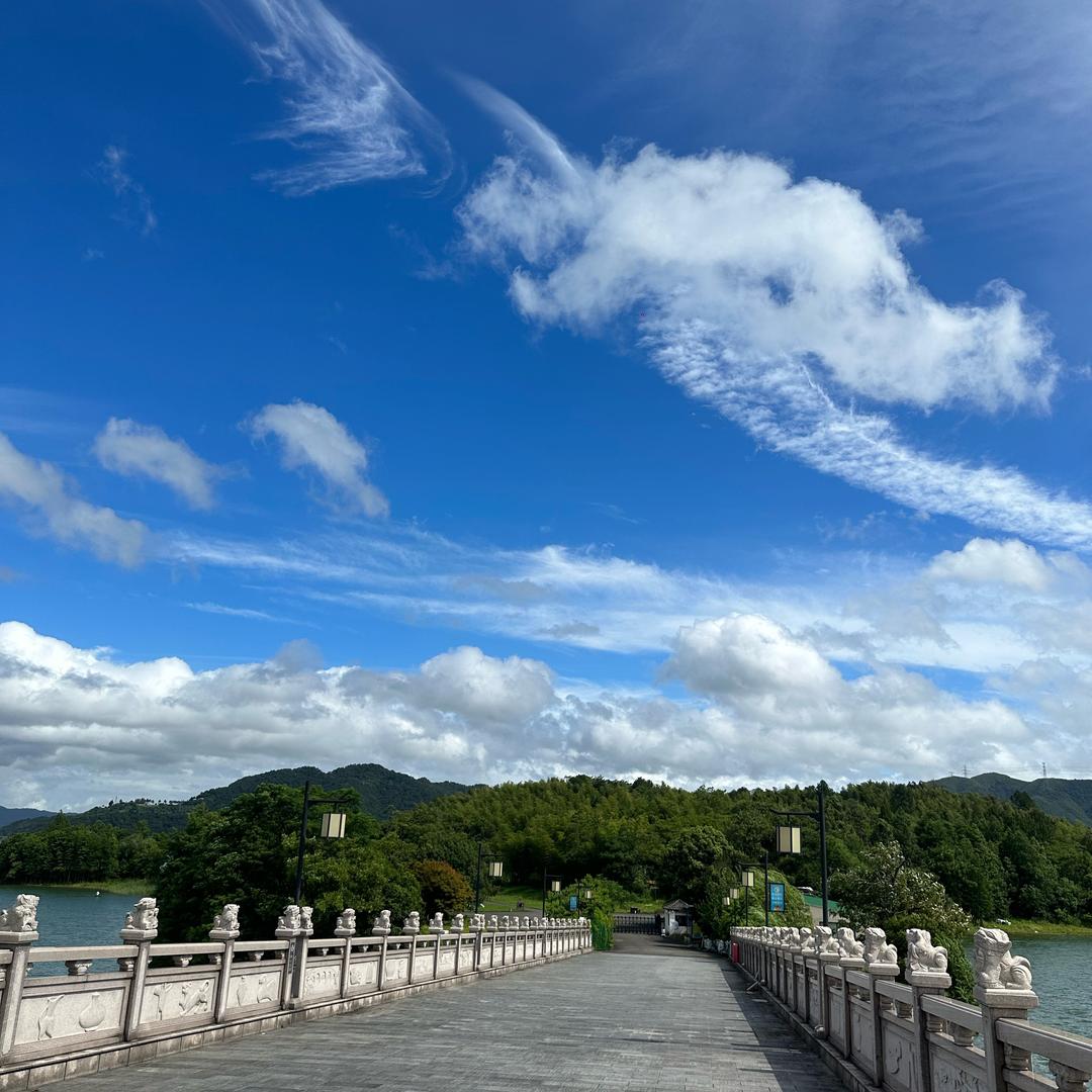 努力减肥的胖子@20251022