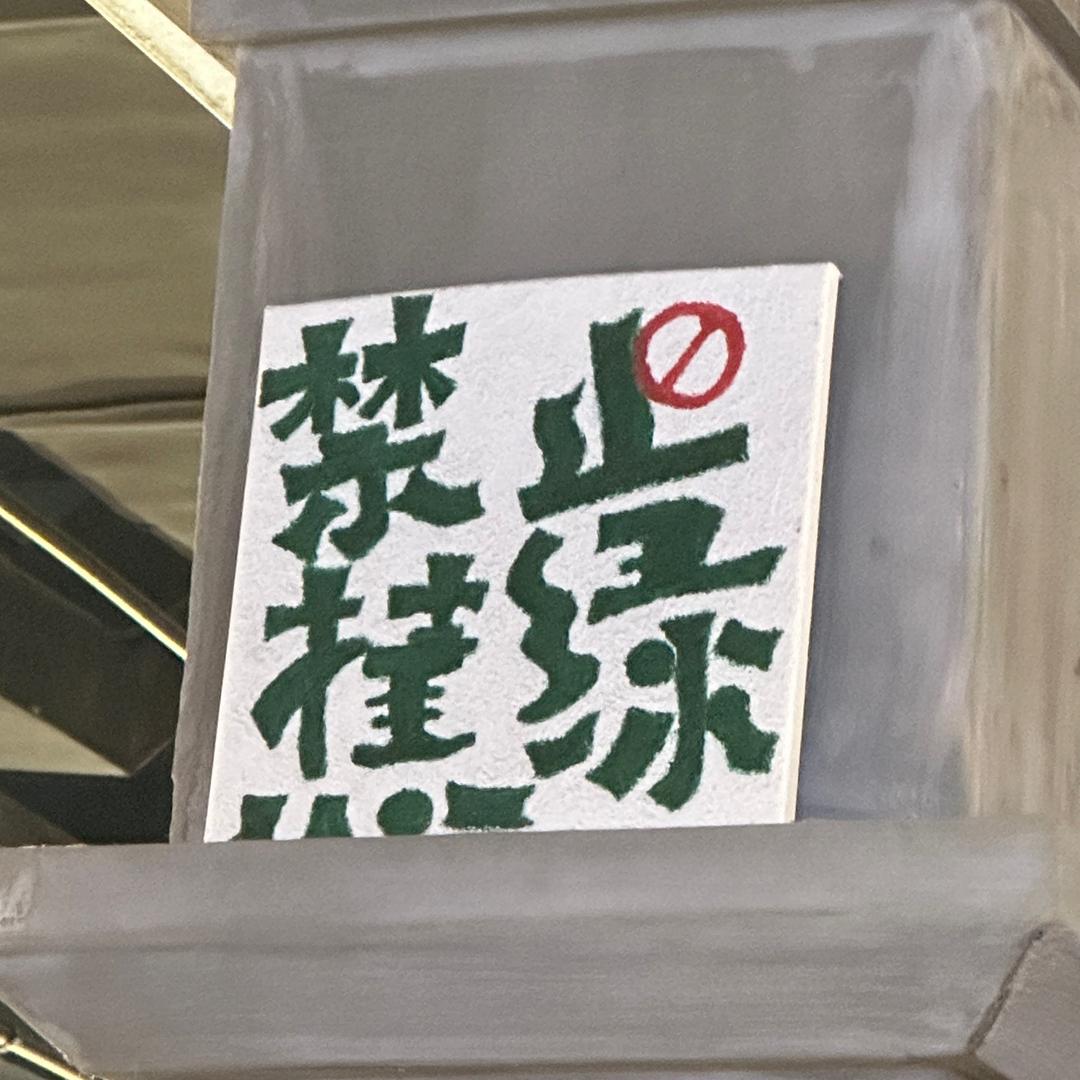 王多多
