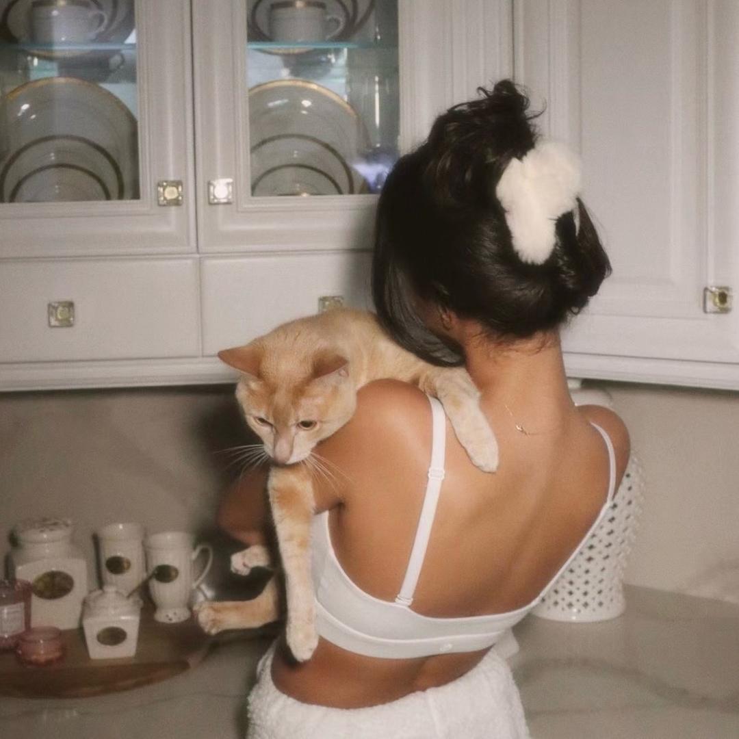 不去五台山不改名