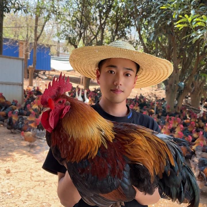 吕品农产品天天达