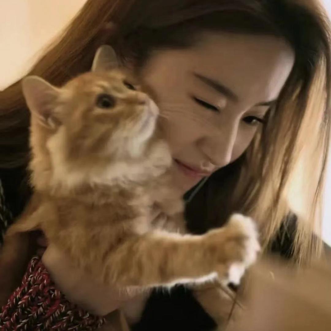 小鱼 饼