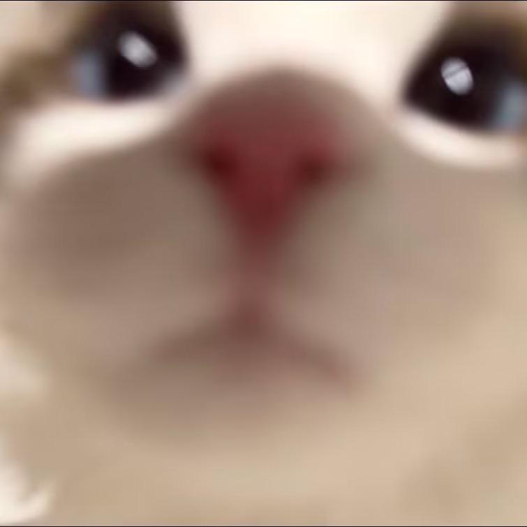 友也