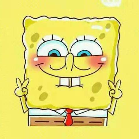 宋伙夫🧑‍🍳