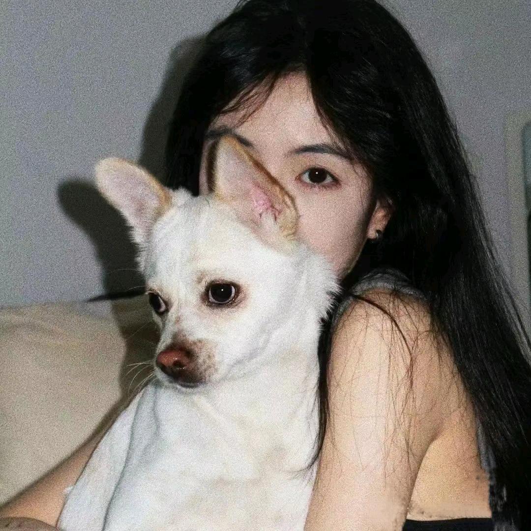小马睡不醒🌙