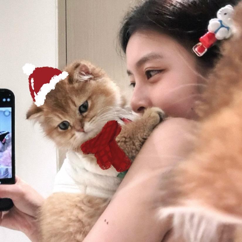 咕咕鸡/