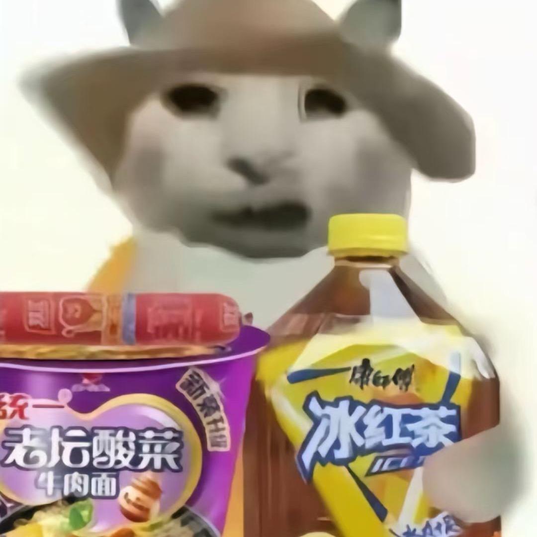 苦命老坛酸菜牛肉面（冰冻版）