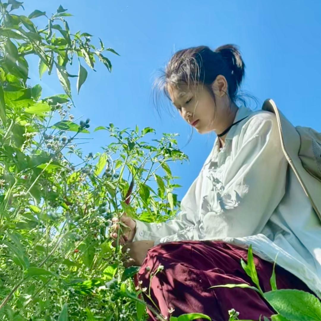 闲不住的宁宁