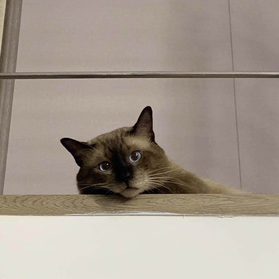 花生