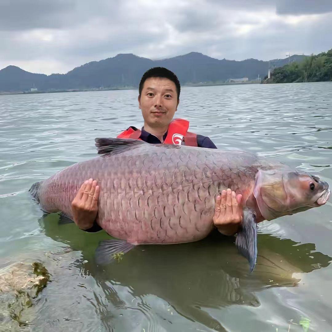 踏浪钓鱼