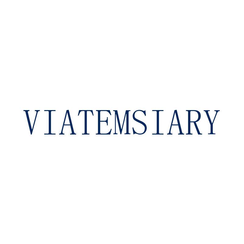 VIATEMSIARY男装旗舰店