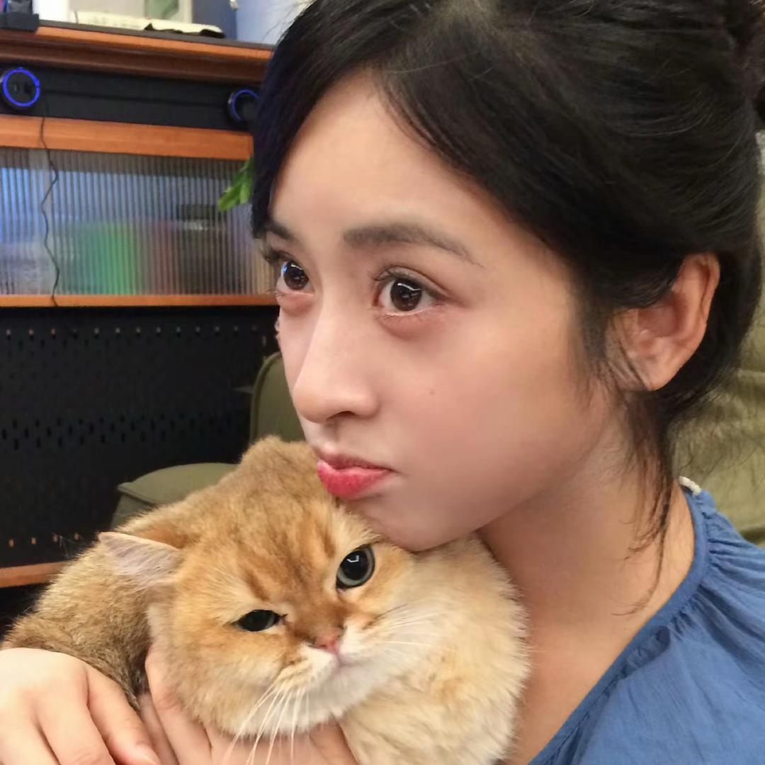 小妤儿不是鱼