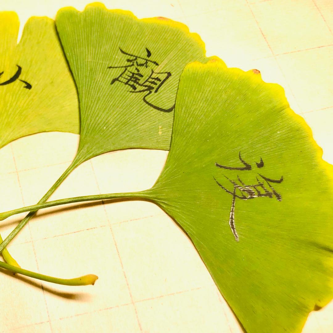 小曦爸爸