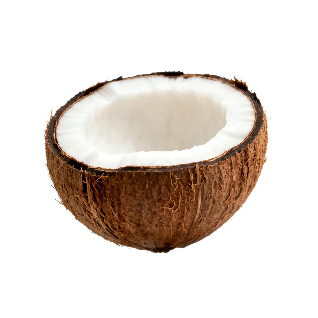 泡泡