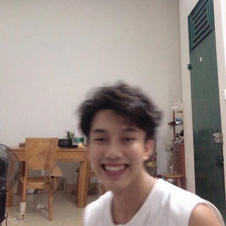 爱吃韭菜面叶的西统领头像