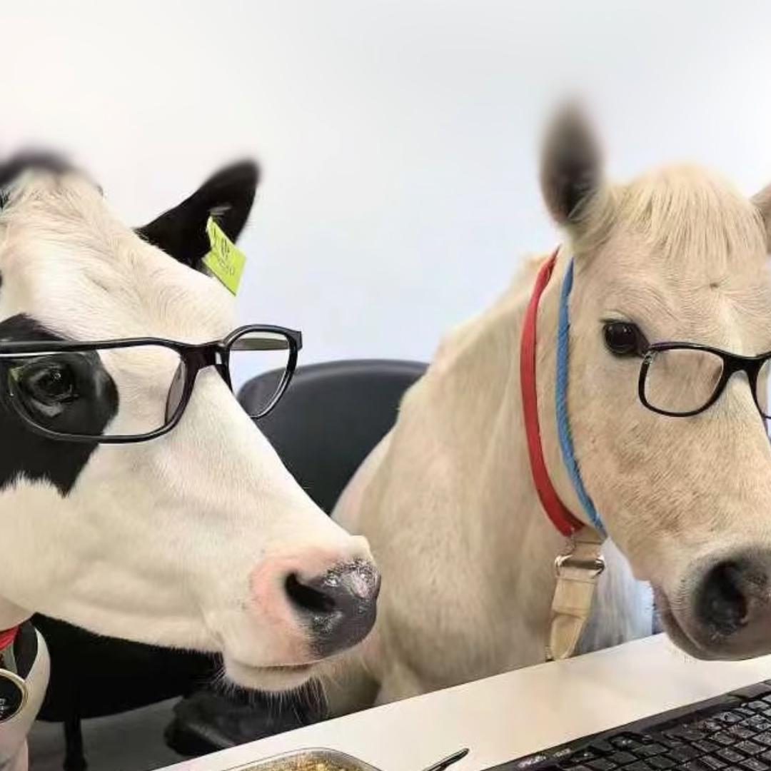 IKyle（战损版）