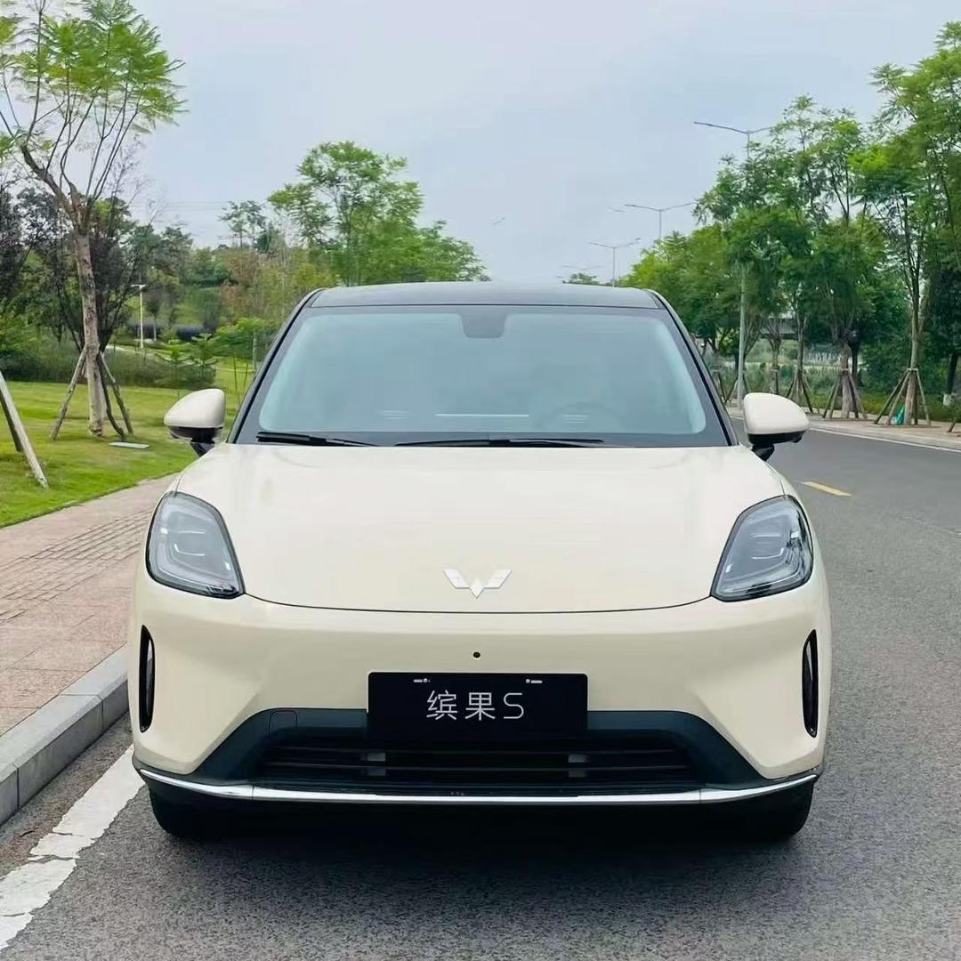 五菱缤果S果子们